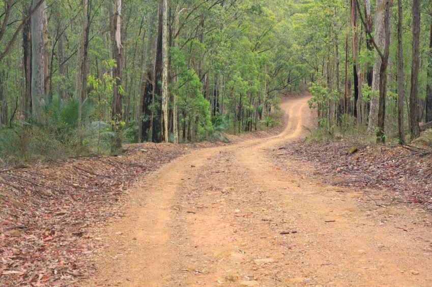 Press Release Trail.jpg