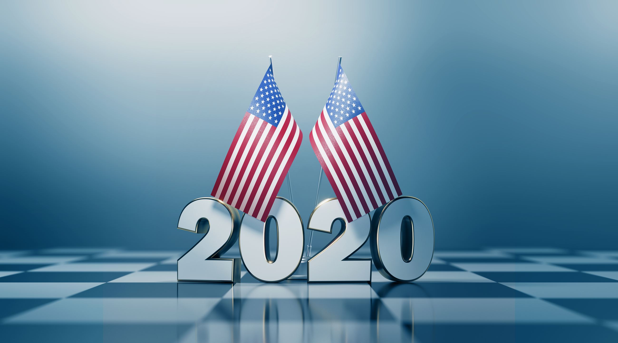 Election 2020 and flags