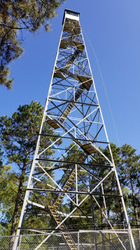 Fire Tower-web