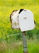 mailbox